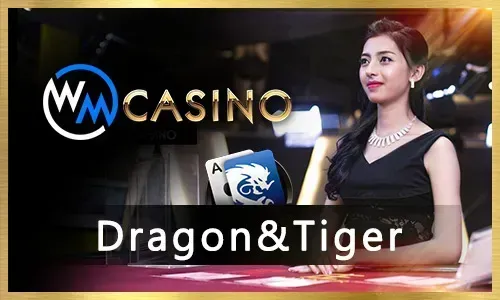 Poker and Card Games